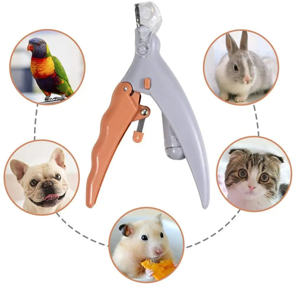 Professional Pet Nail Clipper  - Grooming Scissors 评论和价格